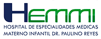 Logo de HEMMI - Cliente Techma